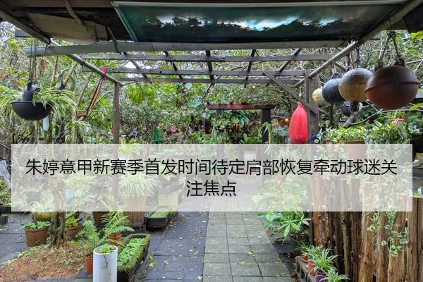 朱婷意甲新赛季首发时间待定肩部恢复牵动球迷关注焦点